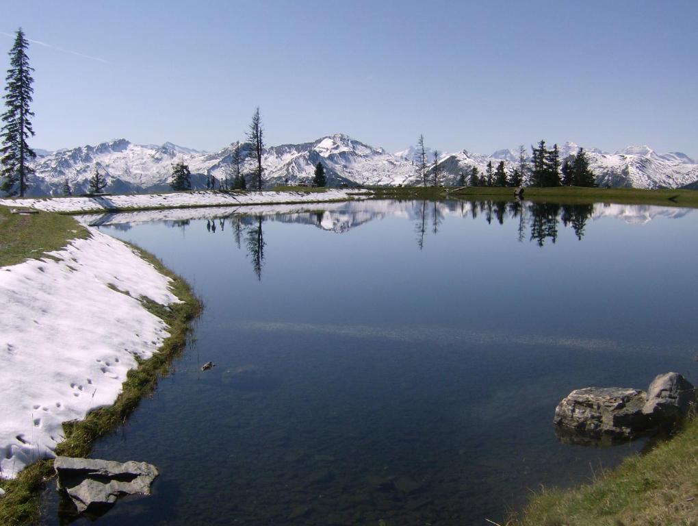 Gaestehaus Gratz - Inklusive Eintritt In Die Alpentherme Dorfgastein Buitenkant foto